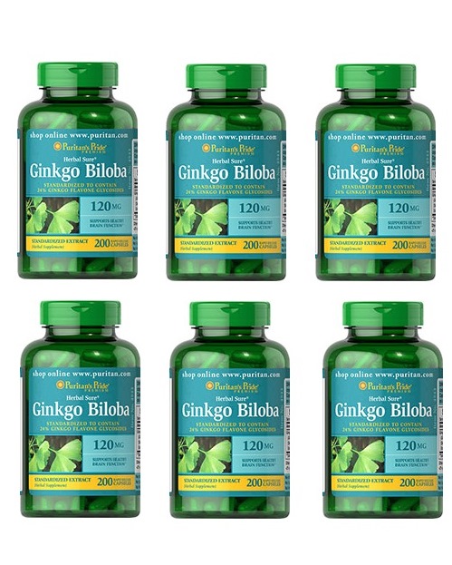 Puritan's Pride GINKGO BILOBA 120 mg 200 Capsules x 6
